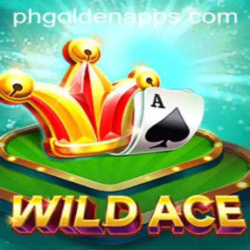 The Thrilling Universe of WildAce: Unveiling Exciting Features and Gameplay